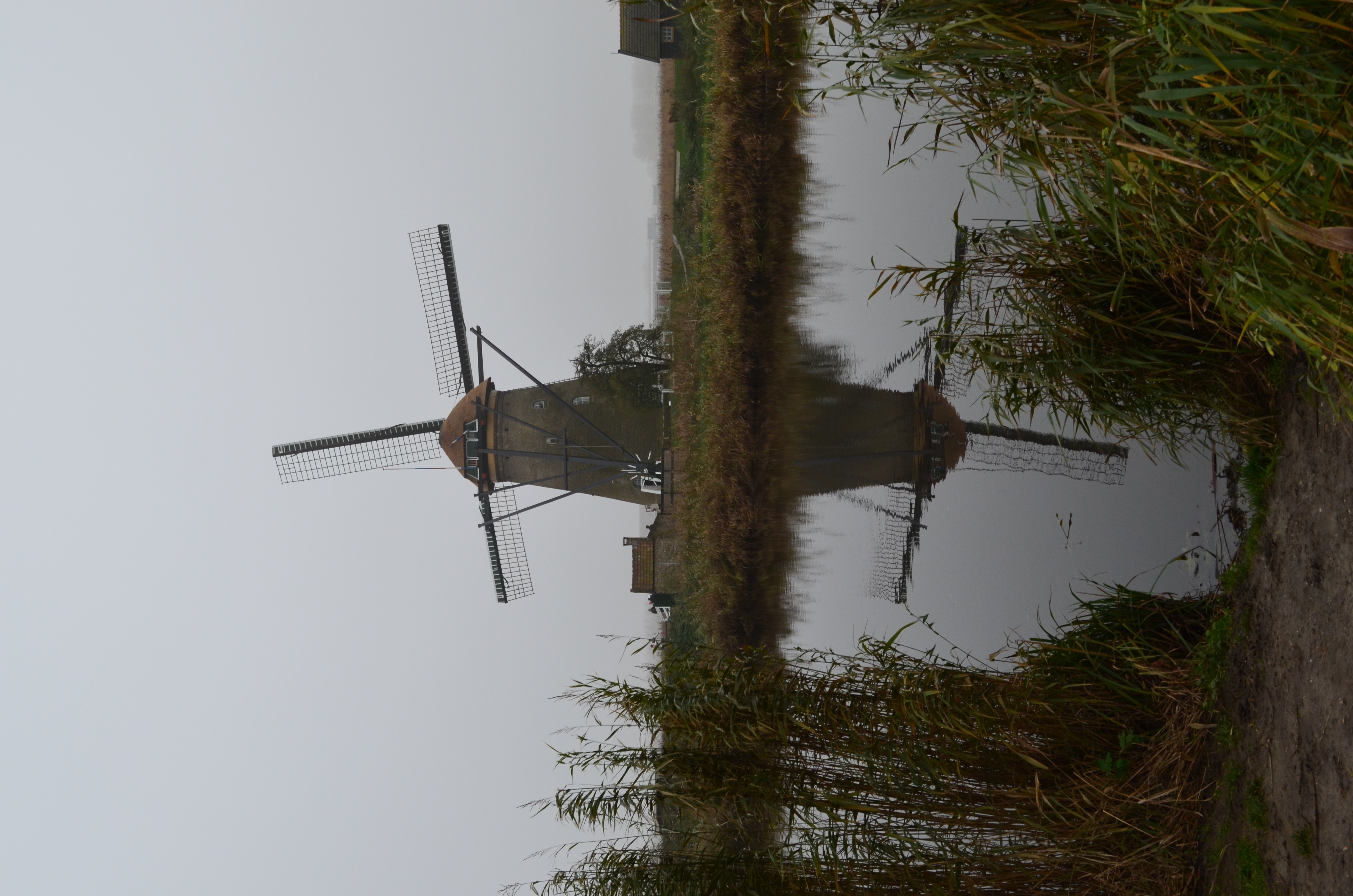 ./2017/19 - Viking Lif/12 - Kinderdijk, The Netherlands/DSC_0290.JPG